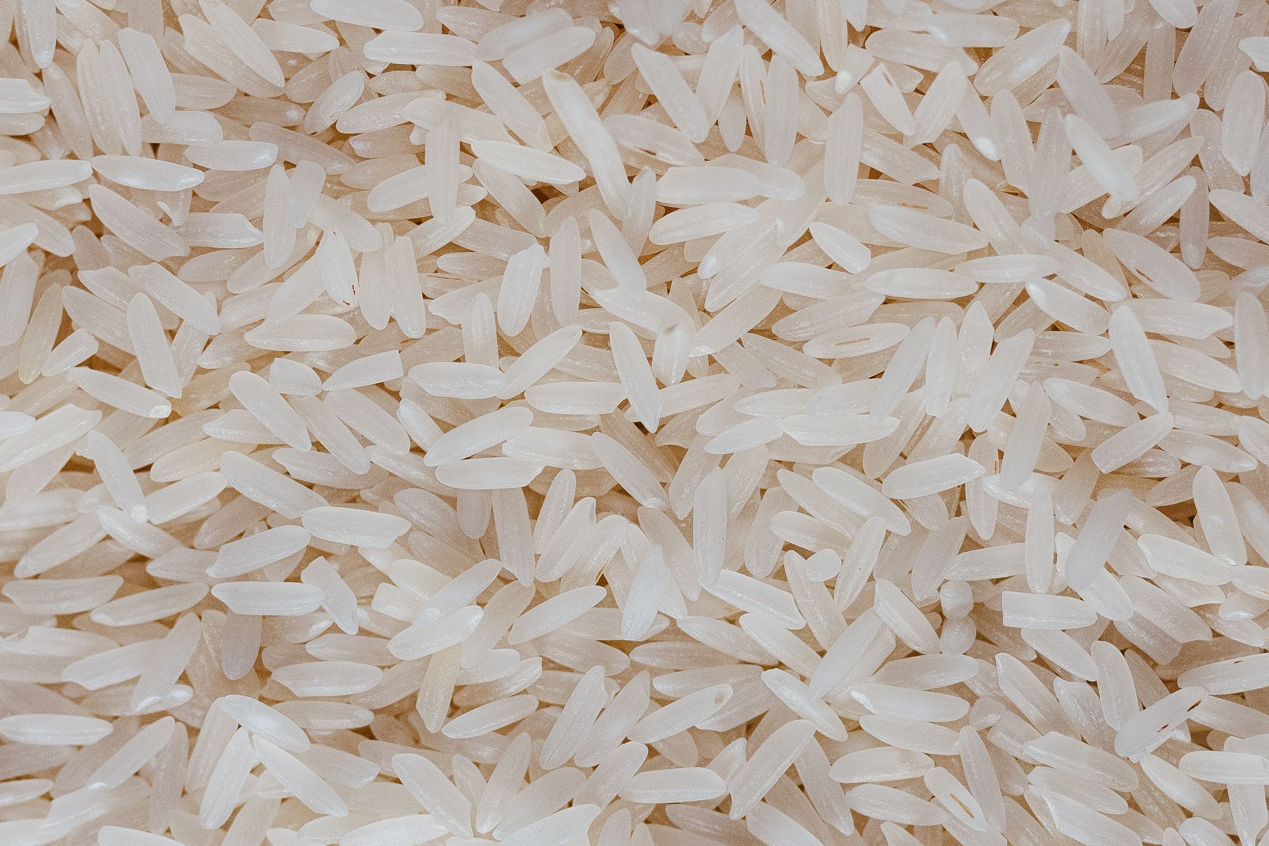 Sealbox Rice