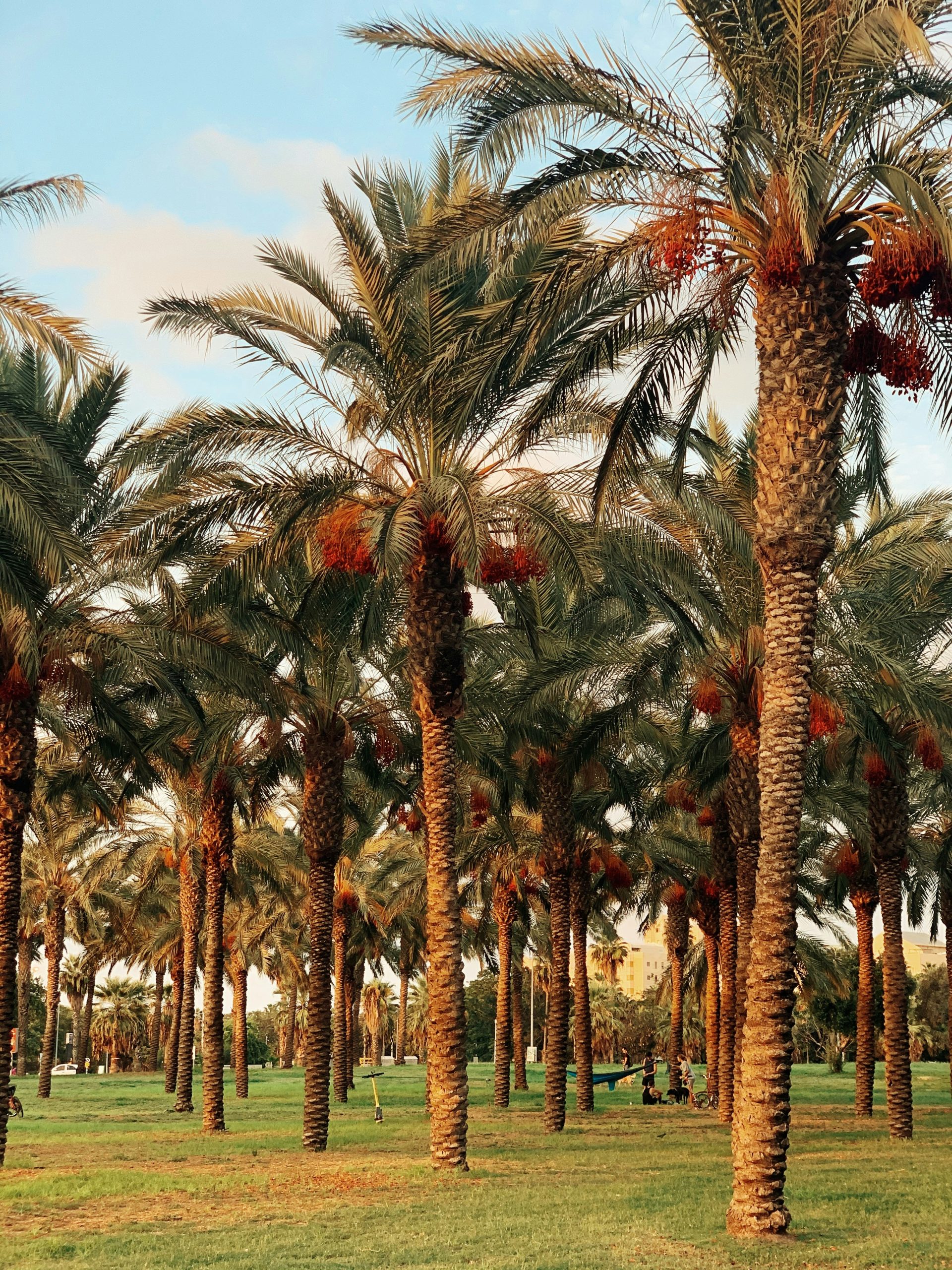Dates